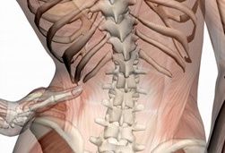 wirbelsaeulentherapie-nach-dorn