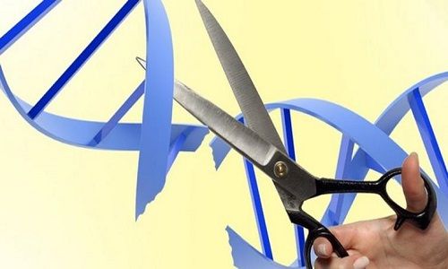 Yaşamı Kısaltan BEŞ Önlenebilir Durum