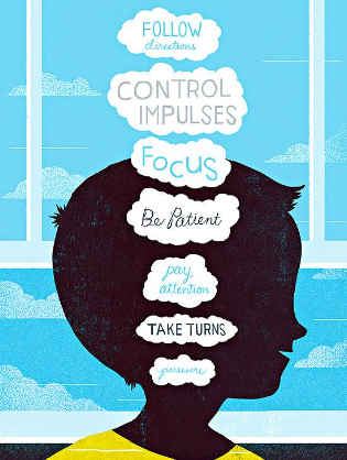 Yürütücü İşlev Becerileri