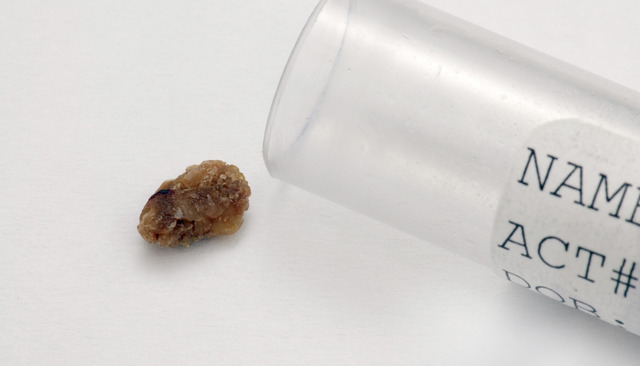 Insert media name here