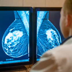 Dermatite Bollosa Negli Anziani Cause E Rimedi Magazine Amioagio It