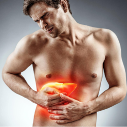 Cirrosi Epatica Malattie Nefrologia Pazienti It