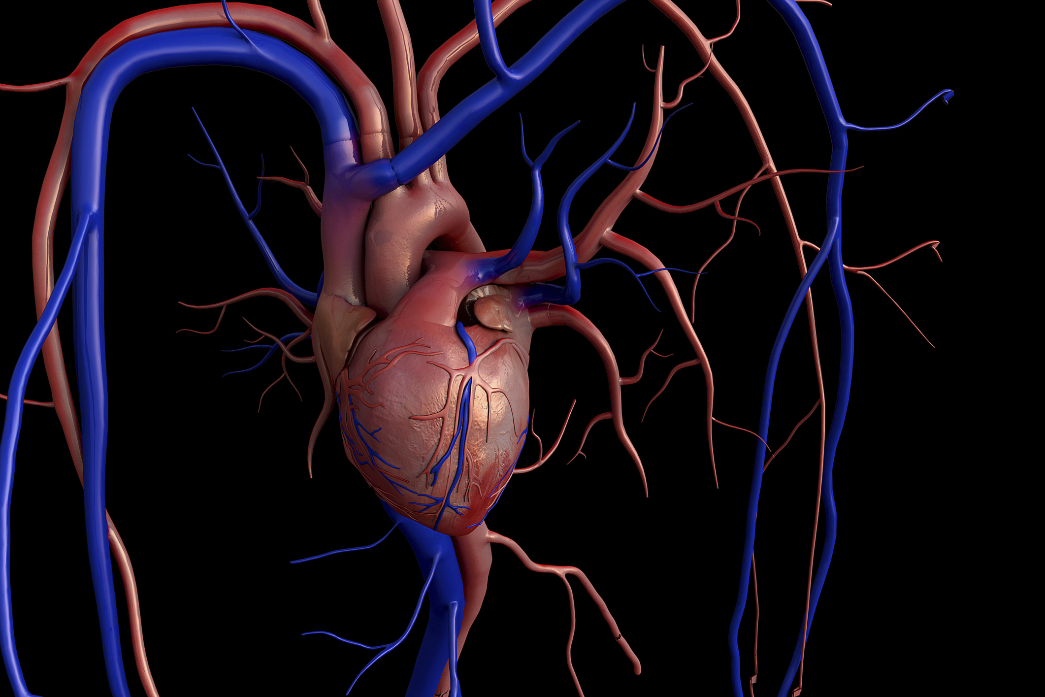 Difetti cardiaci congeniti