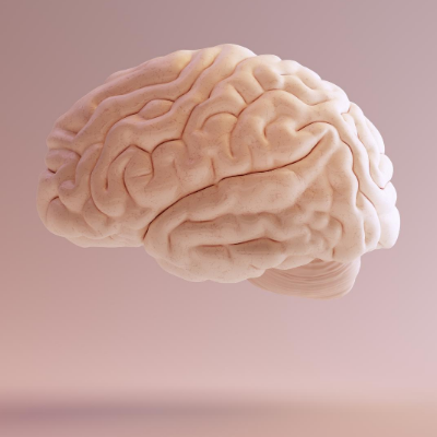 Sindrome di Tourette