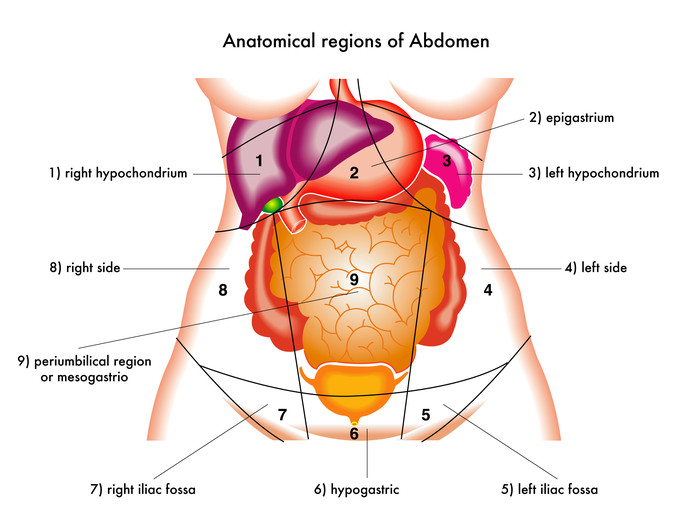 Epigastrio