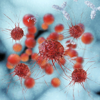 Cancro