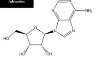 Adenosina