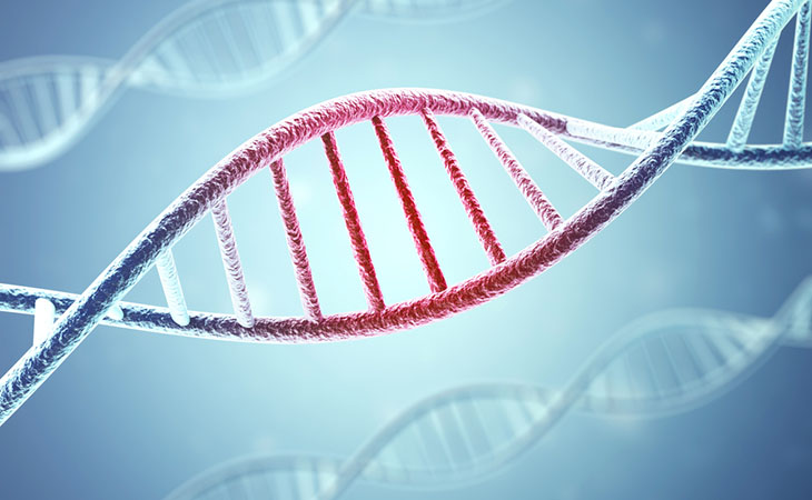 Malattia da consanguineità