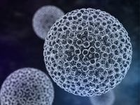 Hpv