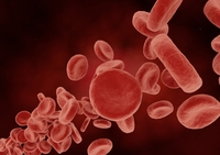 Proteinuria