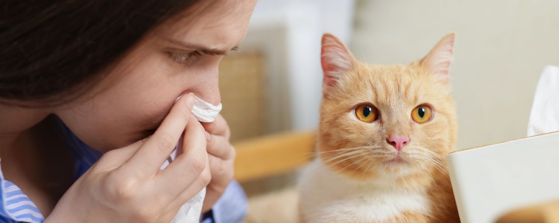 ragazza si soffia il naso, vicino ad un gatto dal pelo rosso