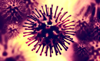 H1n1