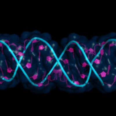RNA in Primo Piano nelle Cellule
