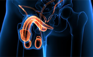 Scroto Acuto Cos E Cause Sintomi Terapie Diagnosi Pazienti It