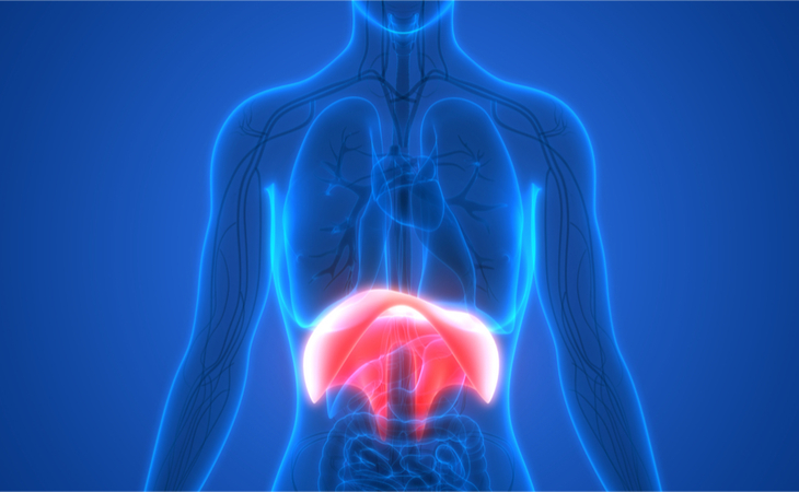 Respirazione Diaframmatica