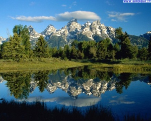 Cinzia Trinca Infermiere