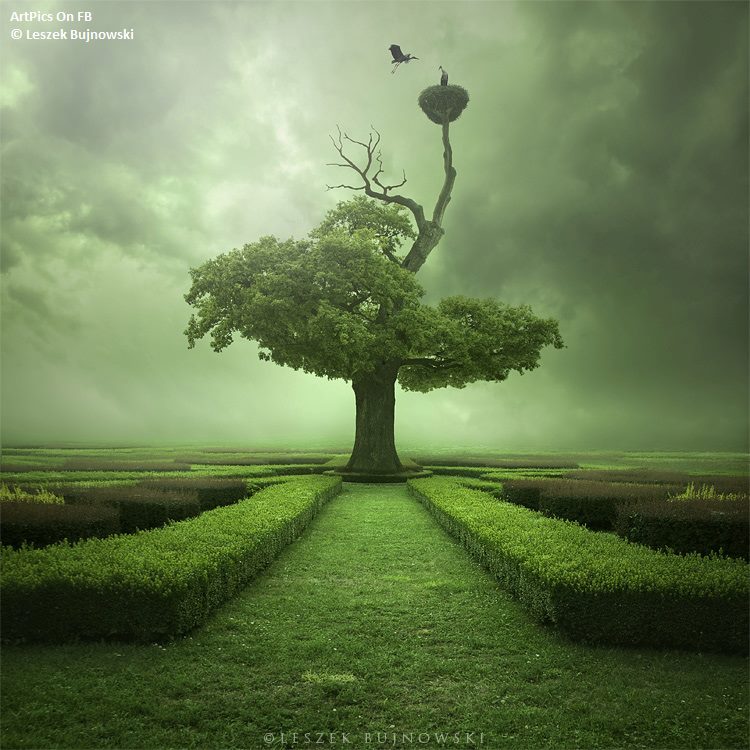 Daniele Russo Psicologo