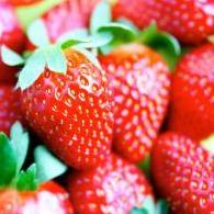 Manuela Miuzzo Nutrizionista