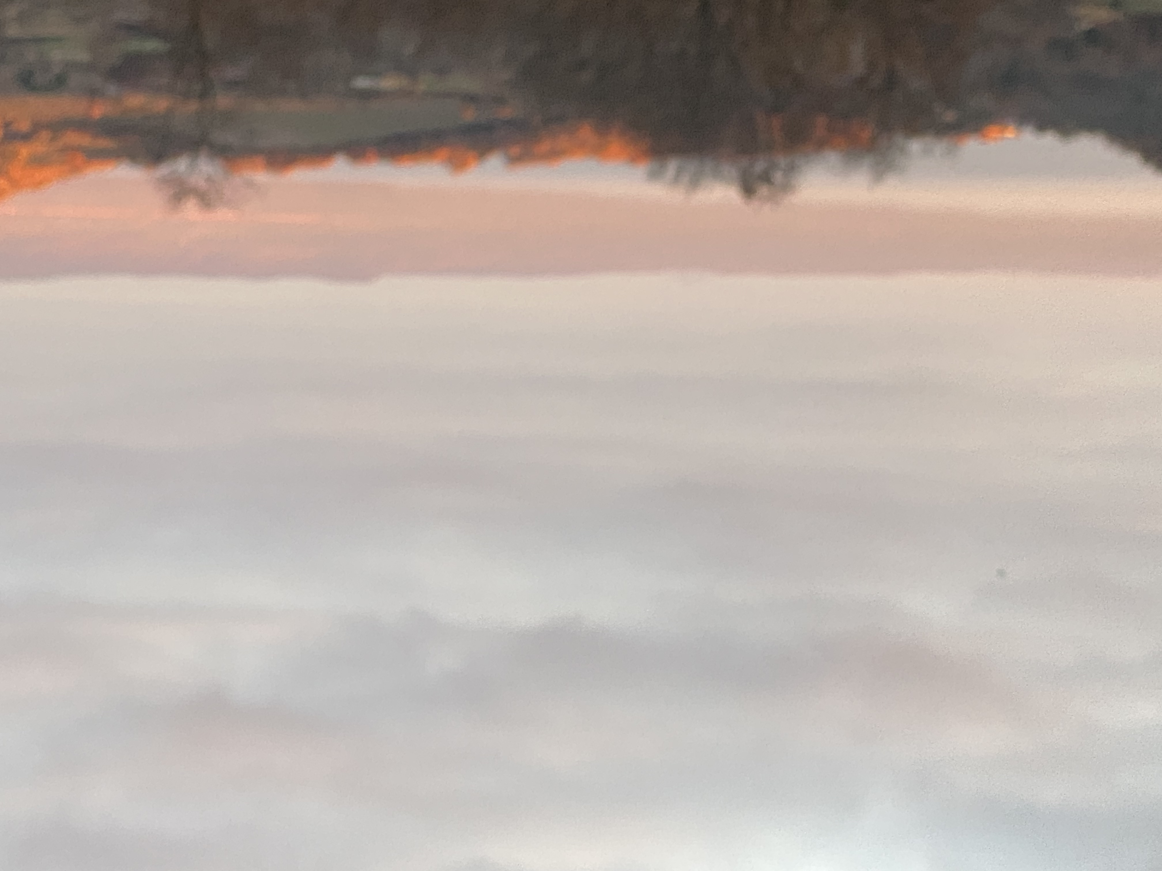 Dr.ssa Michela Ranucci Psicoterapeuta