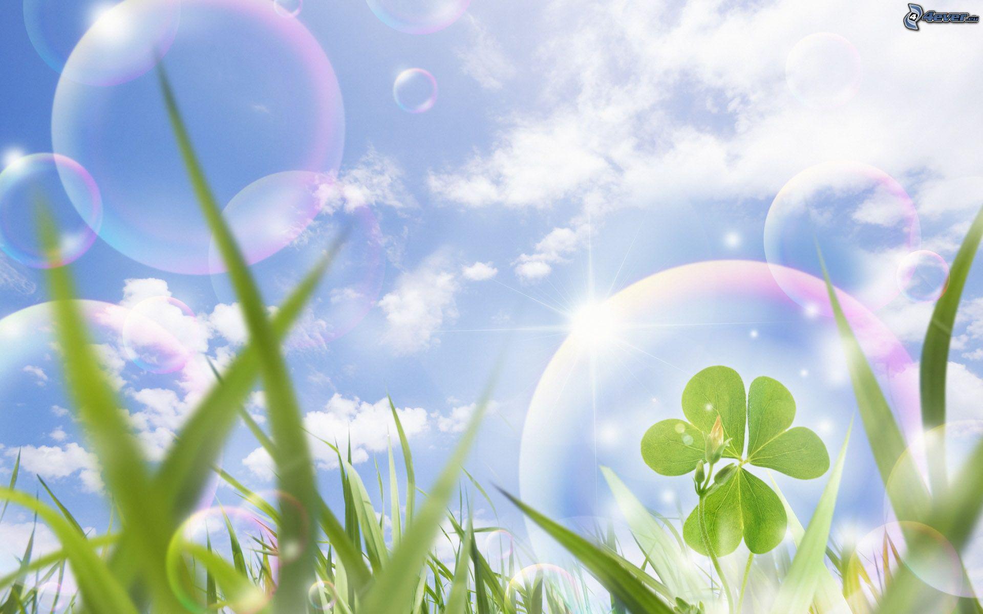 Dr.ssa Carmela De Blasio Psicologo