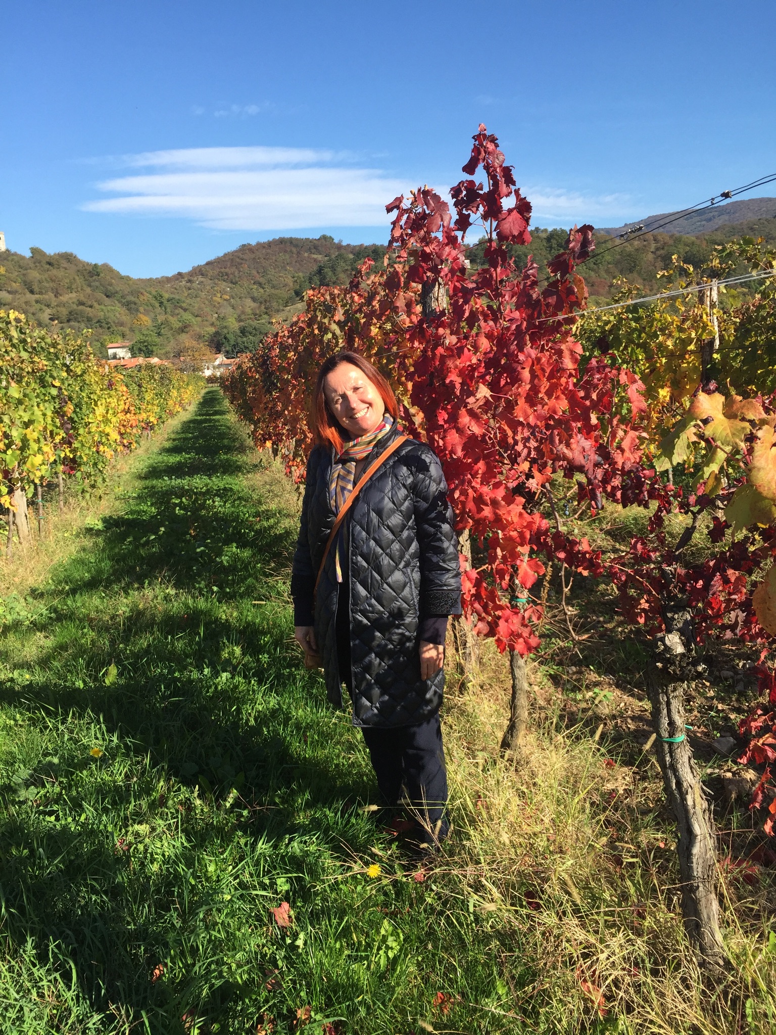 Dr.ssa Paola Mazzotti Medico Chirurgo