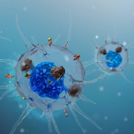 Dr. Paolo D'Alia Medico Chirurgo