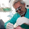 Dr. Giuseppe Rizzo Dentista