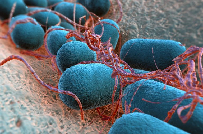 Trucchi mal conservati e scaduti: i pericoli che nascondono