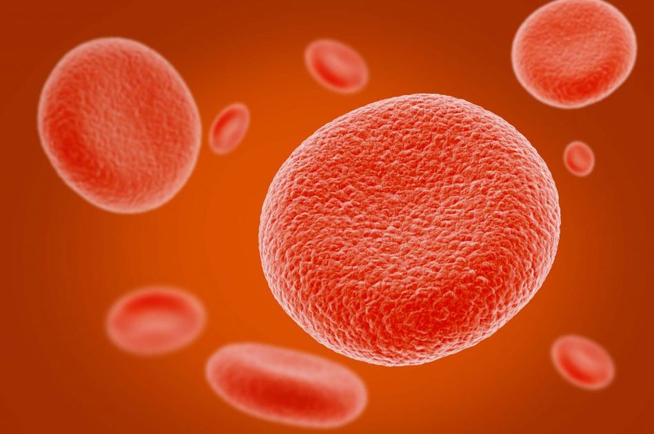 Cosa mangiare per rigenerare il sangue