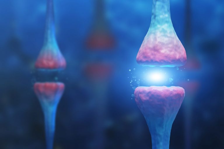 Scoperta la molecola che blocca l'Alzheimer