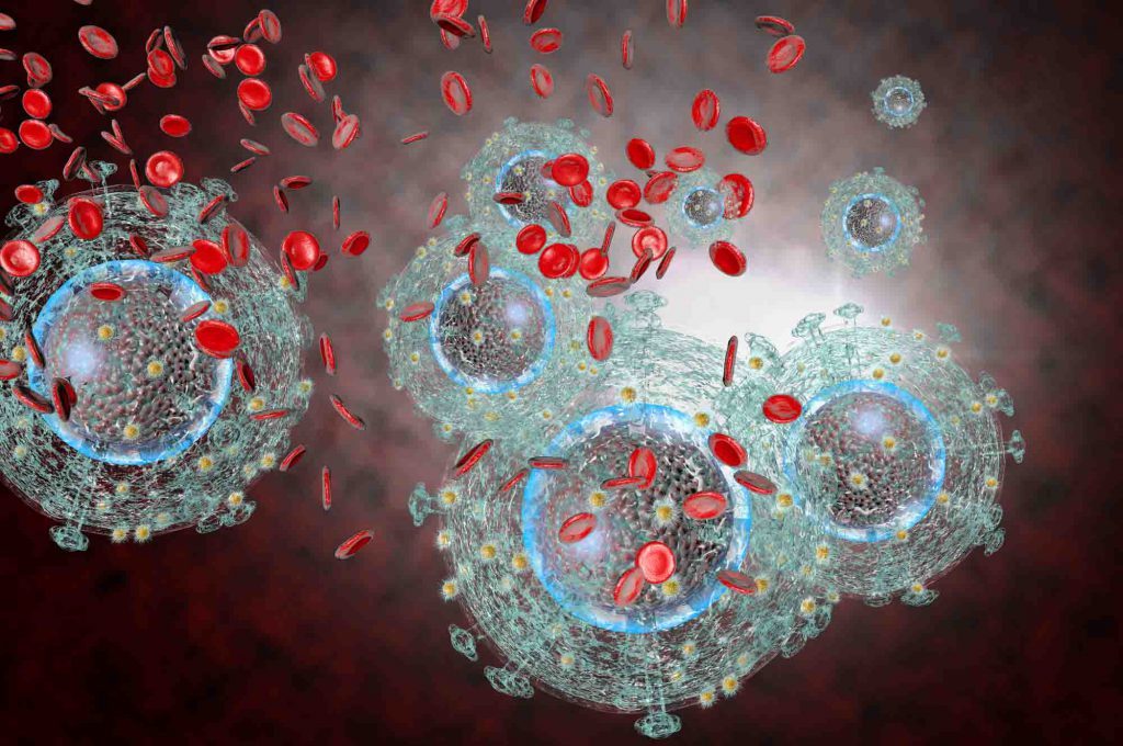 Hiv un bacio è pericoloso? Quando fare il test e come si manifesta? Facciamo chiarezza Hiv un bacio è pericoloso? Quando fare il test e come si manifesta? Facciamo chiarezza