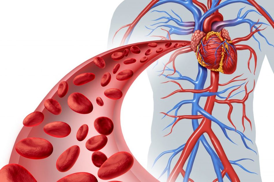 Quando prendere la pastiglia per la pressione: meglio alla sera