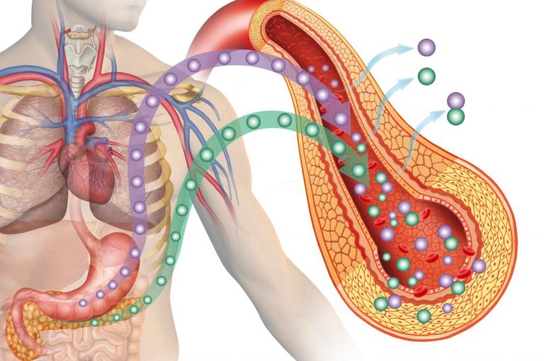 Diabete: Insuline nel Sangue