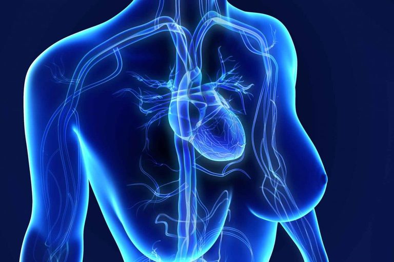 Cuore di una Donna e Disturbi Cardiovascolari Descritti