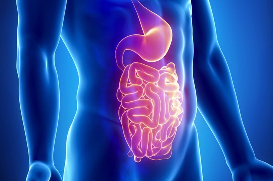 Sindrome della fermentazione intestinale