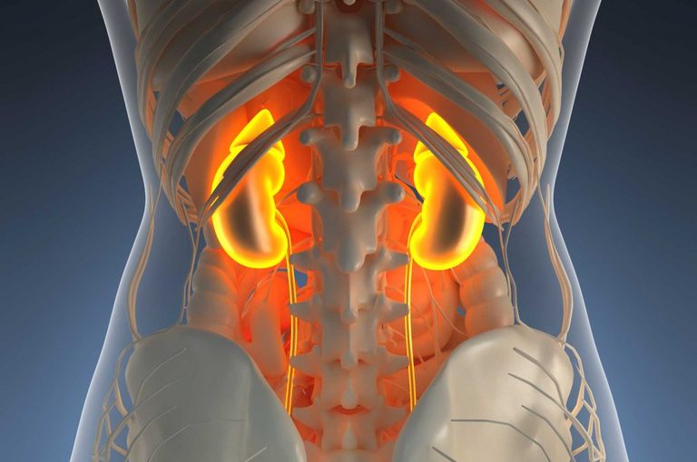 Insufficienza Renale: le Cause