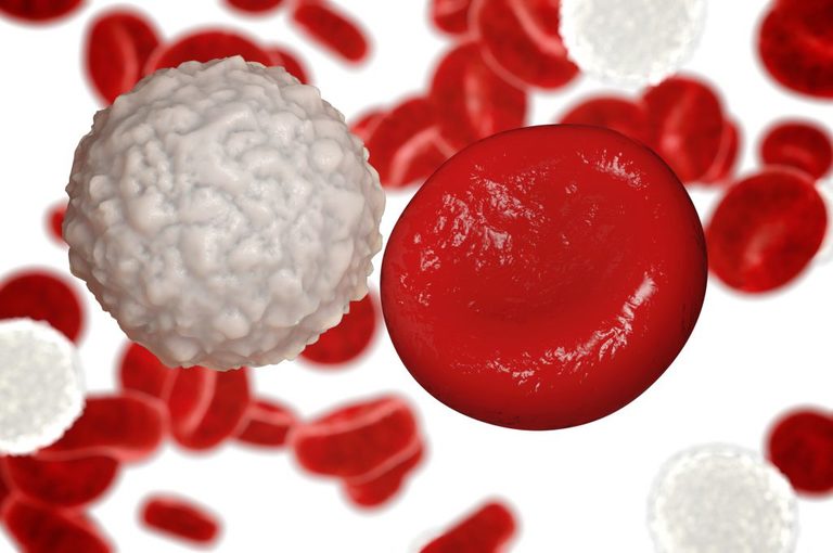 Leucemia Mieloide Cronica: le terapie