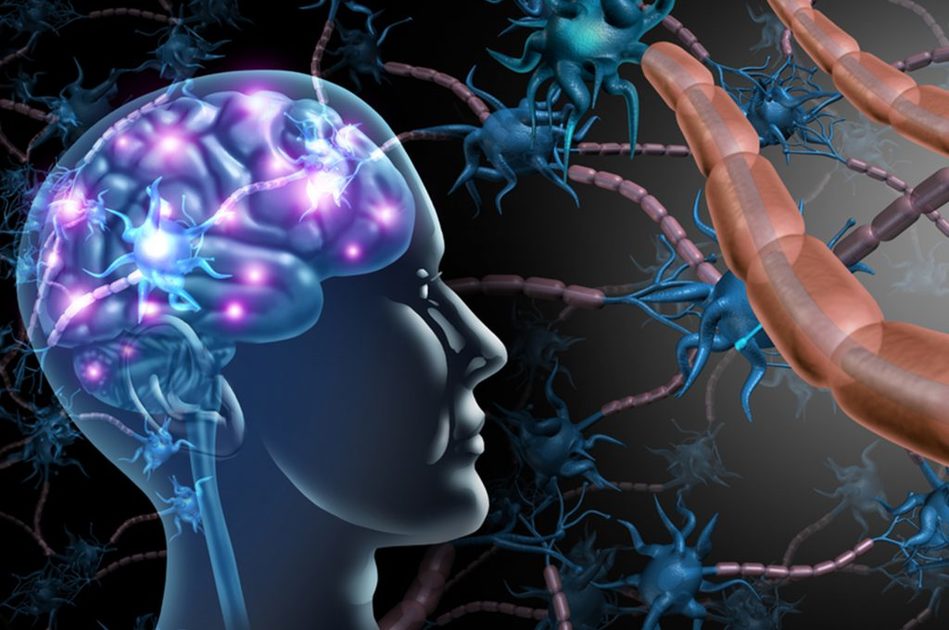 Alzheimer e emicrania: il legame