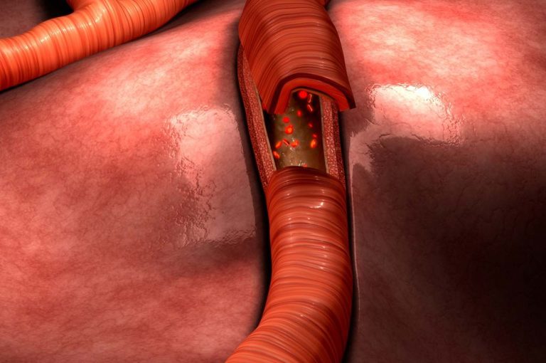Sangue e tempi di Rigenerazione