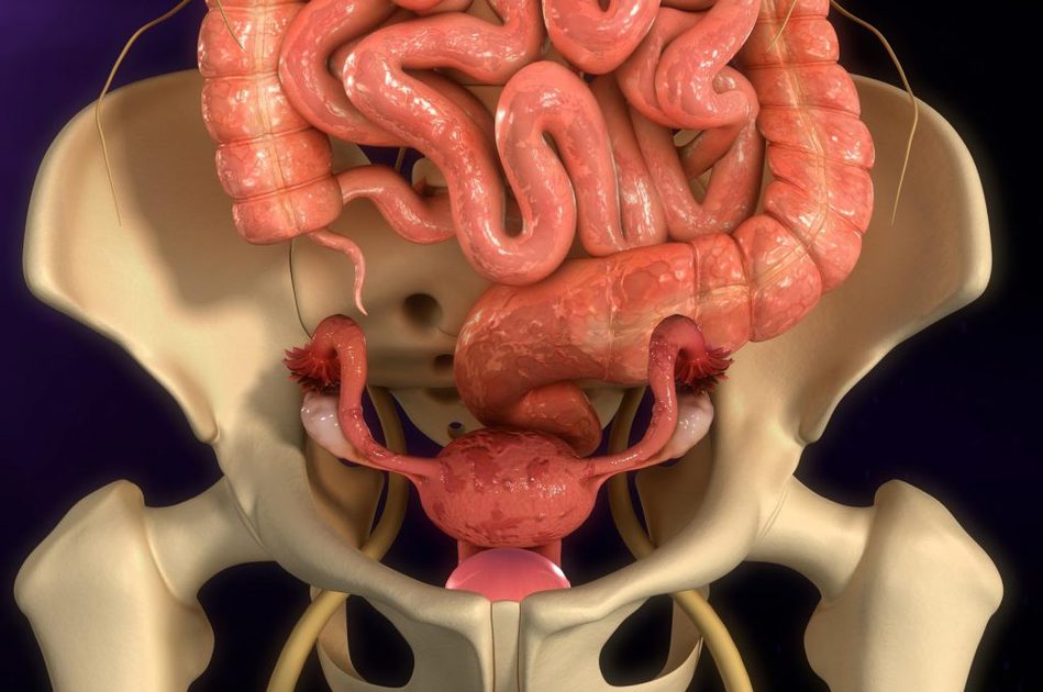 Endometriosi: Cosa Mangiare