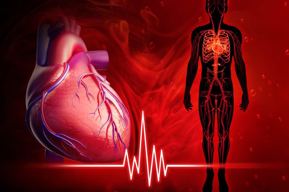 Ecocolordoppler cardiaco: come si esegue, come funziona, quando farlo