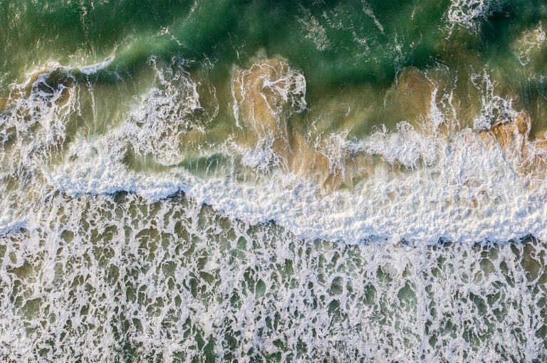 Alga tossica: come proteggersi e cosa fare