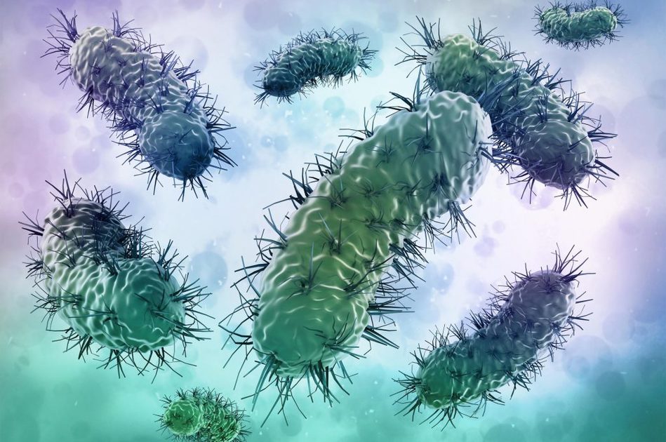 Come Prevenire le Infezioni Genitali