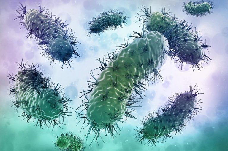 Come Prevenire le Infezioni Genitali