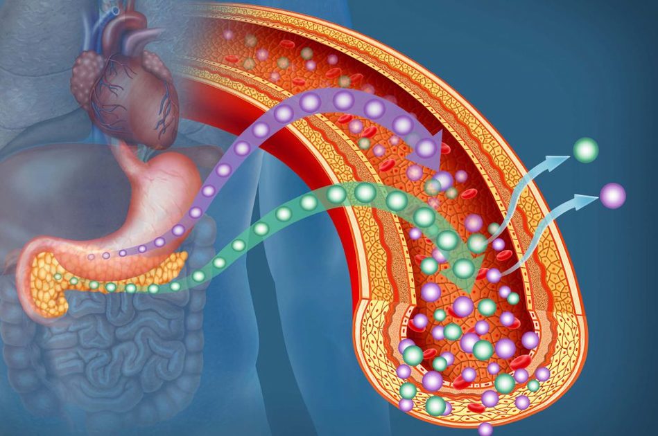 Pancreas e Diabete nelle Donne