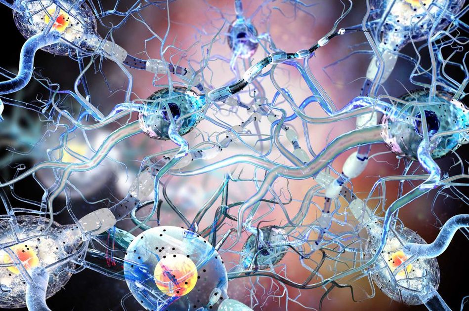 Sclerosi Multipla: le testimonianze