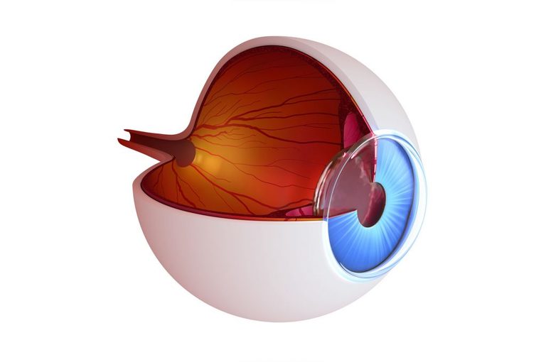 Glaucoma: i Tipi. la Diagnosi e le Cure