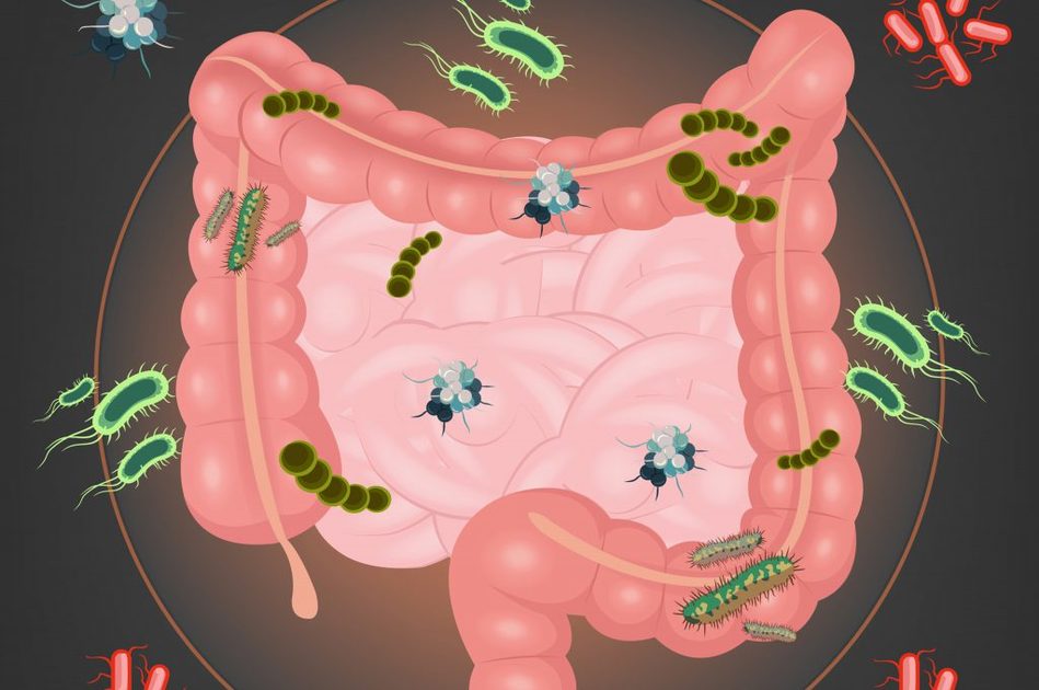 Benefici della Verdura Viola