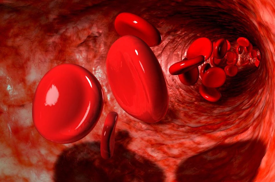 Plasma: la Donazione in Cosa Consiste