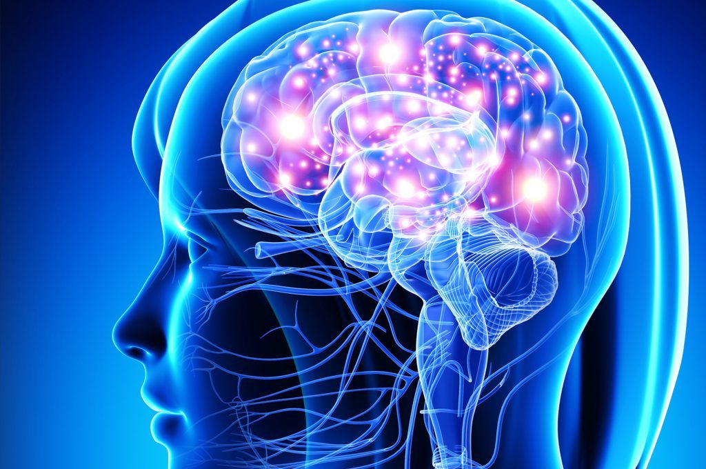 parole crociate fa bene al cervello?